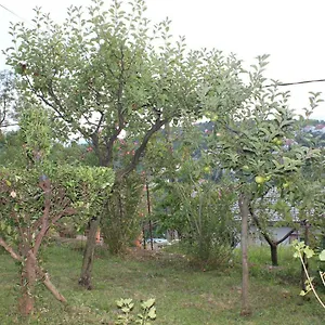 Appartement Tutnovo 13